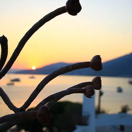 Torbahan Boutique Hotel & Beach Club Hotel
