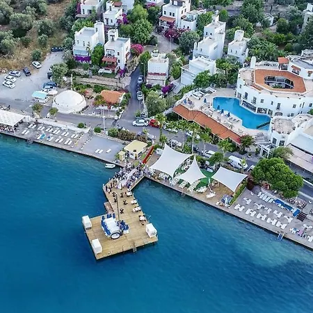 Torbahan 3* トルバ