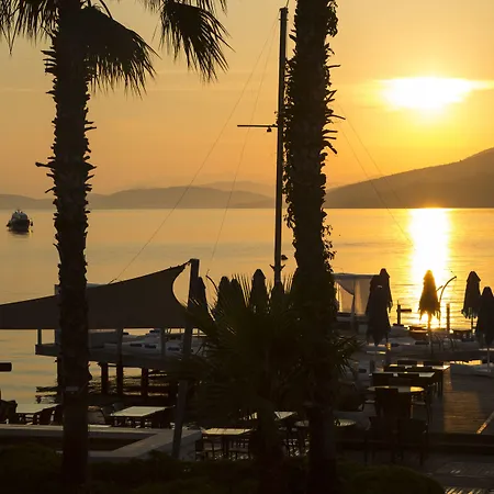 מלון Torbahan טורבה