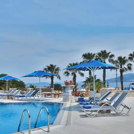 Torbahan 3* Τόρμπα