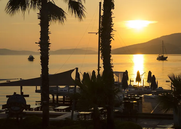 Szálloda Torbahan Torba